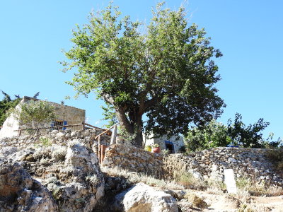 DSCN2683.JPG