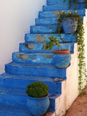 DSCN2746.JPG