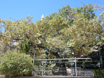 DSCN2756.JPG