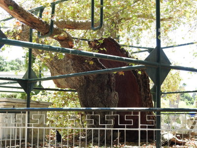 DSCN2759.JPG