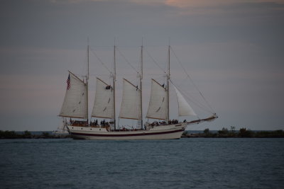 DSC_6224.JPG