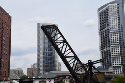 DSC_6415.JPG