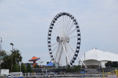 DSC_6518.JPG