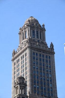 DSC_6569.JPG