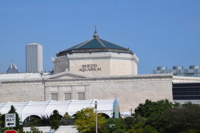 DSC_6582.JPG