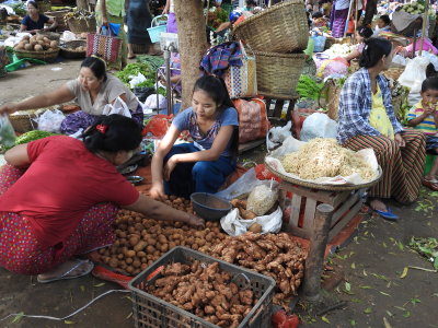 DSCN4842.JPG