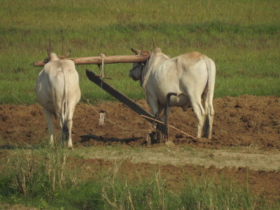 DSCN5025.JPG