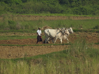 DSCN5041.JPG