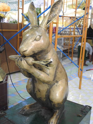 DSCN5235.JPG