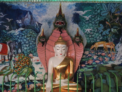 DSCN5272.JPG