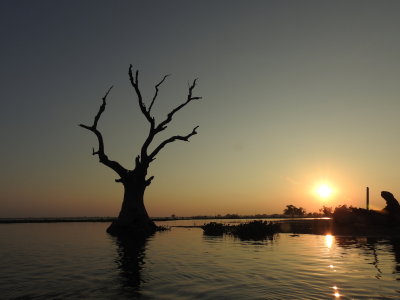 DSCN5357.JPG