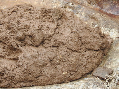 DSCN5599.JPG
