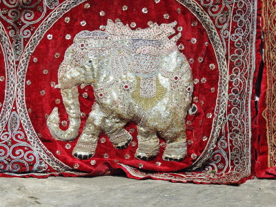 DSCN5723.JPG
