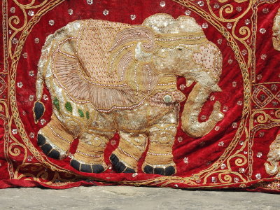 DSCN5724.JPG