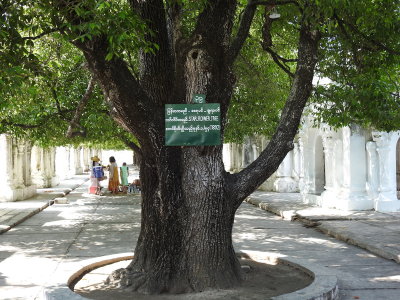 DSCN5748.JPG