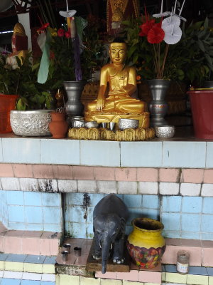 DSCN6675.JPG
