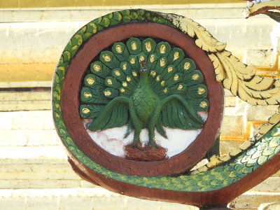 DSCN6744.JPG
