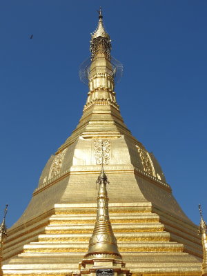 DSCN6753.JPG