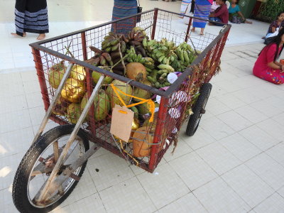 DSCN6783.JPG