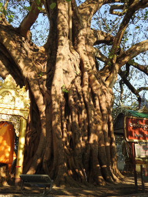 DSCN6818.JPG