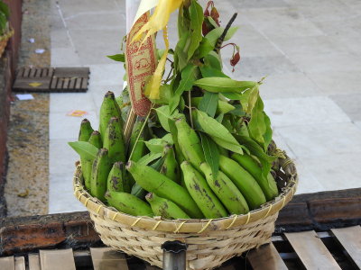 DSCN6837.JPG