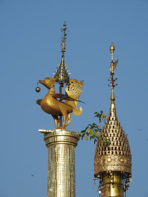DSCN6841.JPG