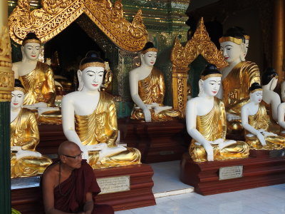 DSCN6859.JPG