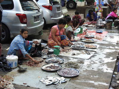 DSCN6951.JPG