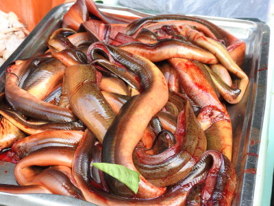 DSCN7001.JPG