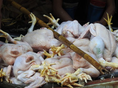 DSCN7005.JPG