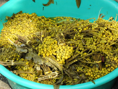 DSCN7028.JPG
