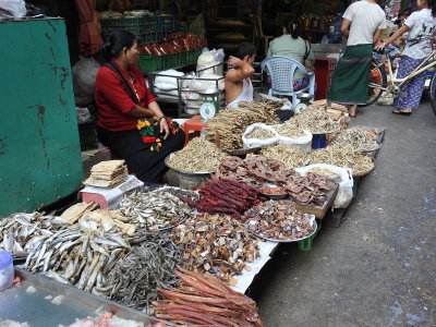 DSCN7041.JPG