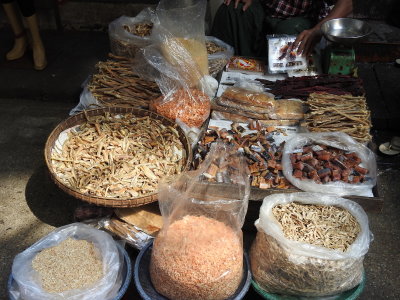 DSCN7050.JPG