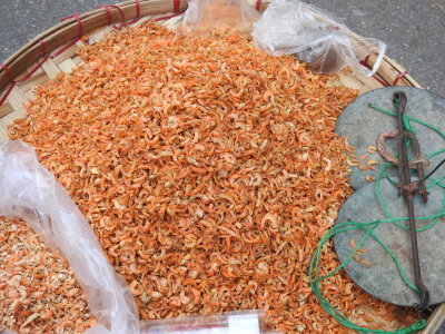 DSCN7068.JPG