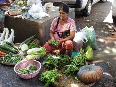 DSCN7074.JPG