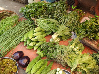DSCN7094.JPG