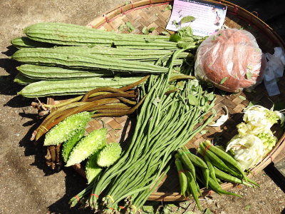 DSCN7098.JPG