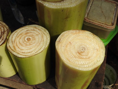 DSCN7110.JPG