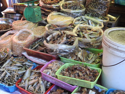 DSCN7118.JPG