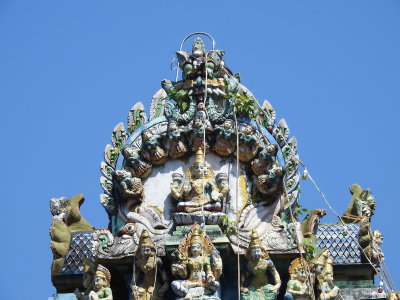 DSCN7125.JPG
