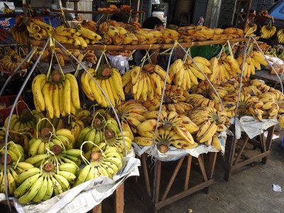 DSCN7128.JPG