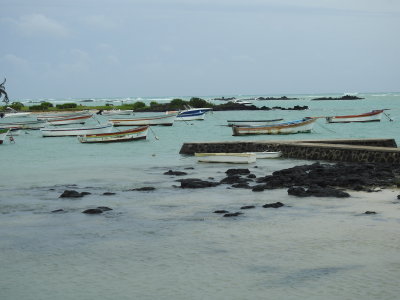 DSCN0248.JPG