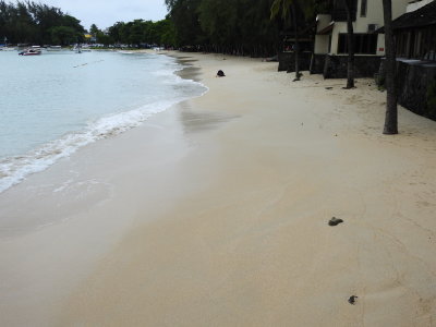 DSCN0257.JPG