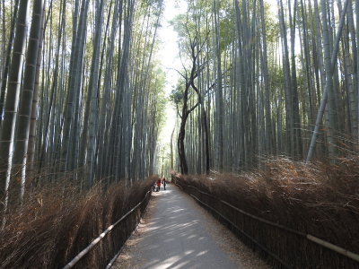 DSCN0738.JPG