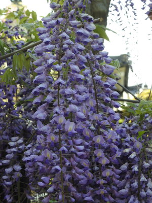 DSCN0749.JPG