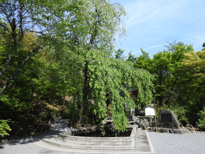 DSCN0750.JPG