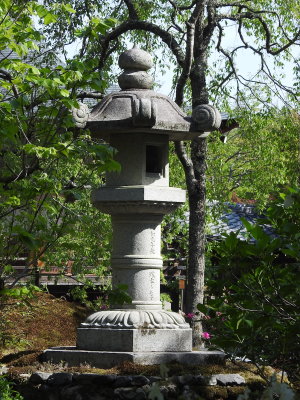 DSCN0752.JPG
