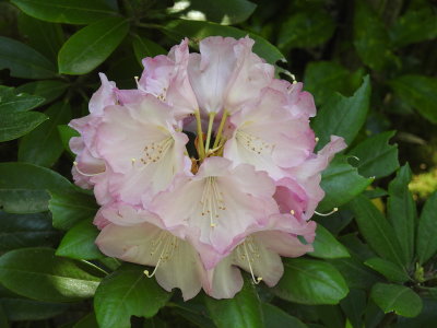 DSCN0753.JPG