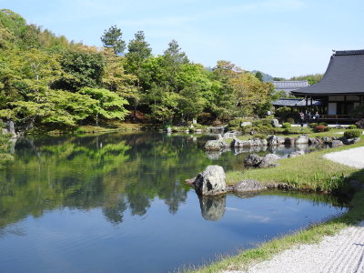 DSCN0755.JPG
