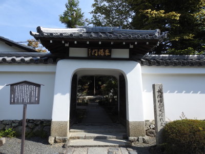 DSCN0769.JPG